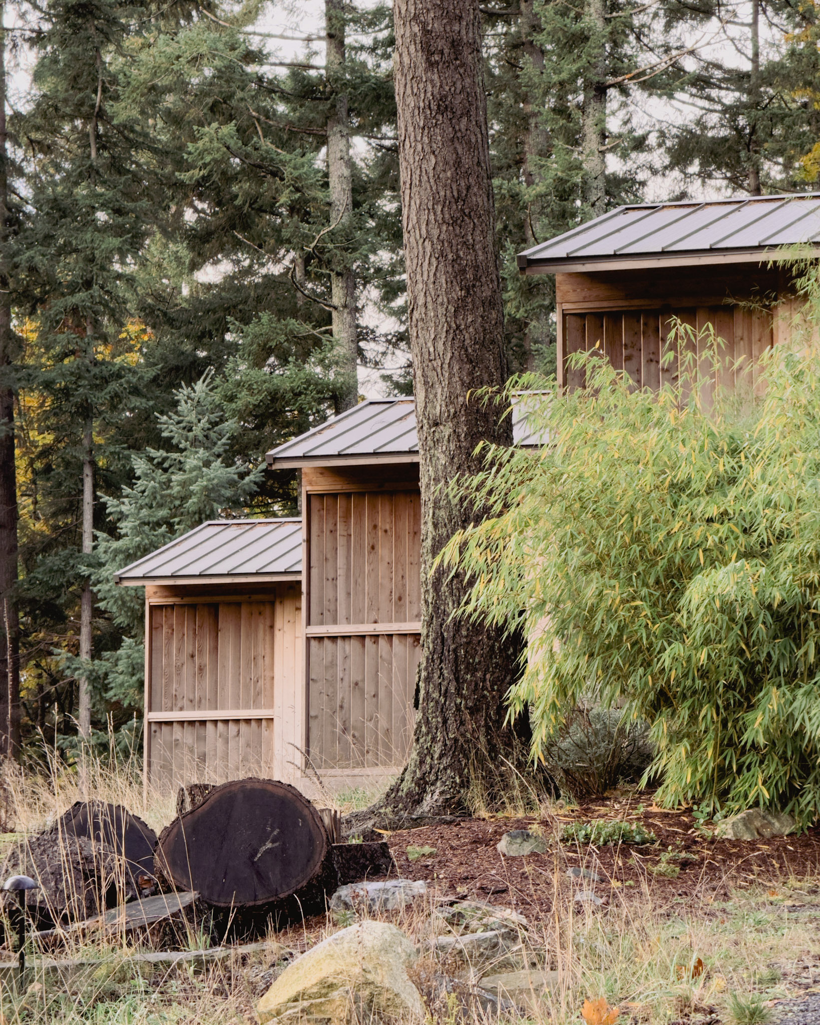 Kitoki Inn cabin exterior among the trees